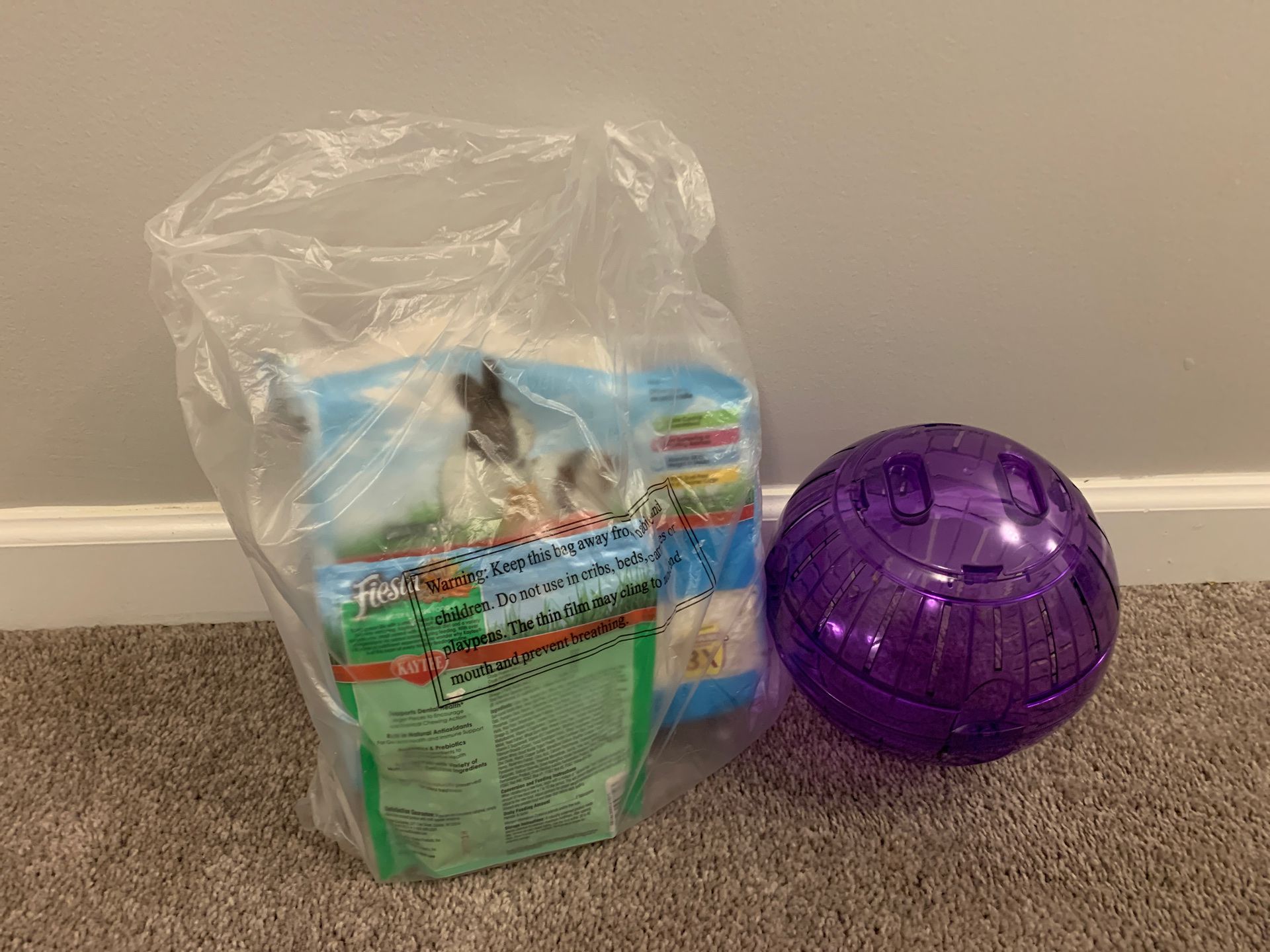 Hamster ball and other items