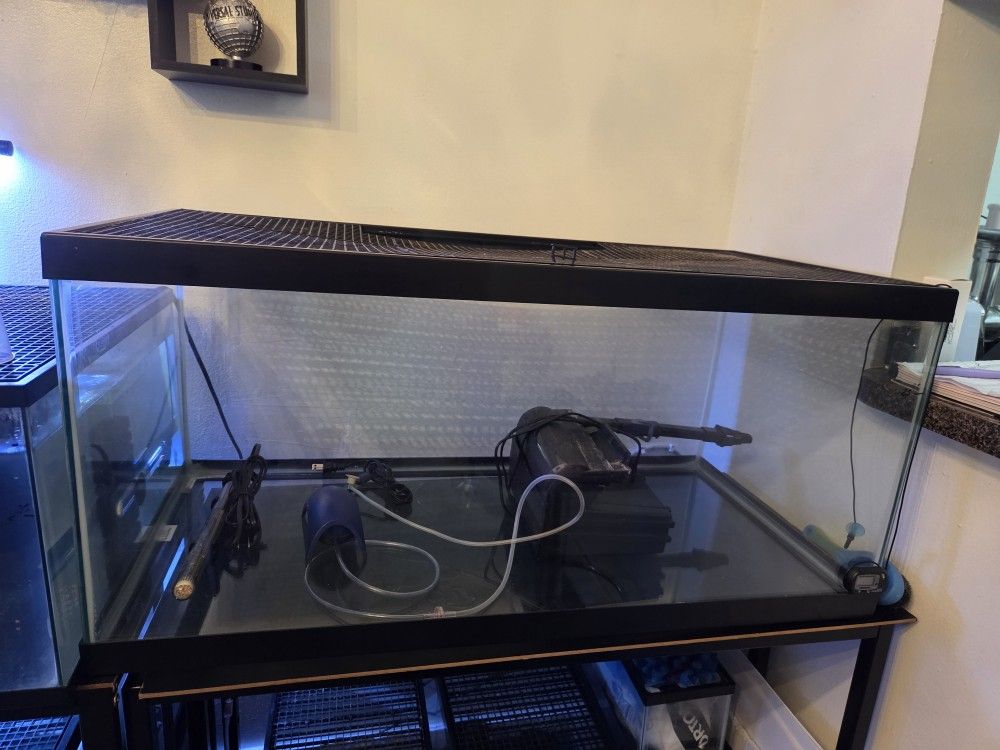 Fish Tank 40 Gallon