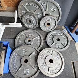 Olympic Weights Plates 300lbs
