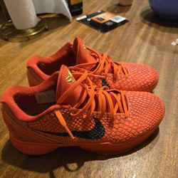Kobe 6