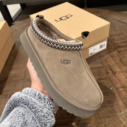 Ugg Tazz Hickory Size 6y