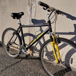 Royce Union Bike 