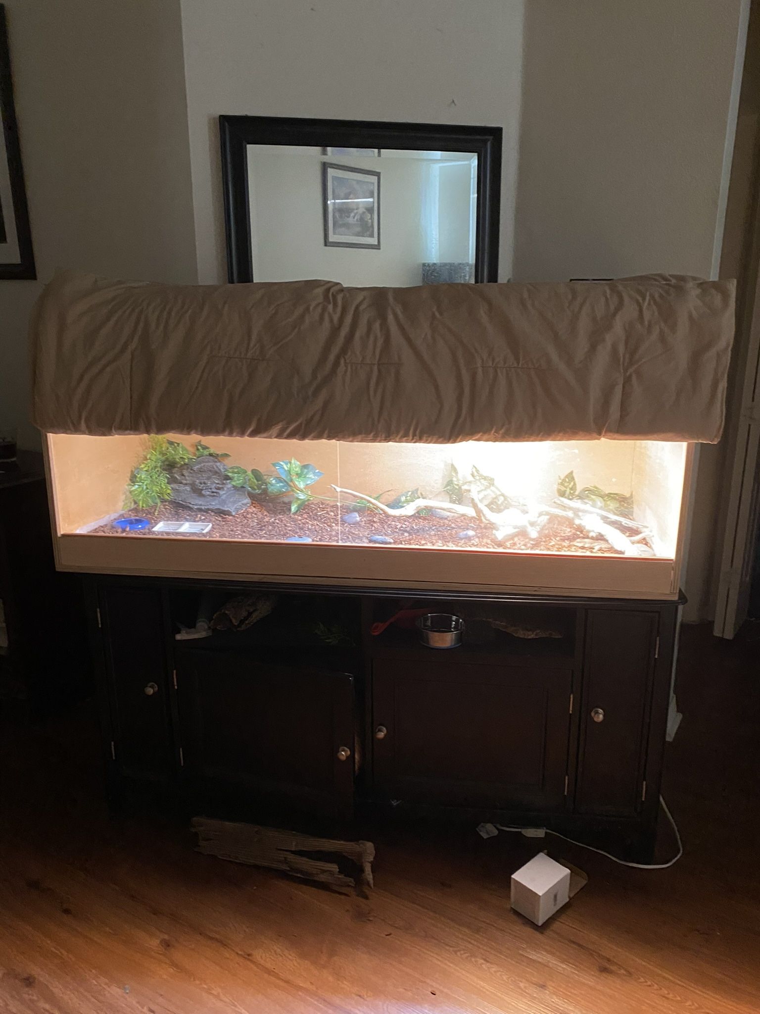 Monitor Tank