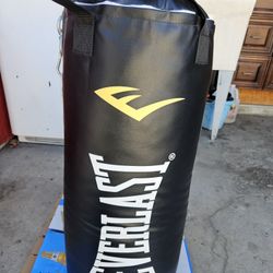 Punching Bag 