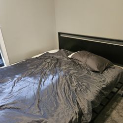 Two Queen Size Matresses And Bed Frame