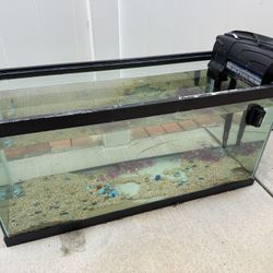 40 Gallon Fish / Aquarium With Aqueon 75 Filter!