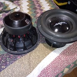 Skar EVL 12in 2ohm subs
