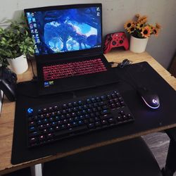MSI Gaming Laptop