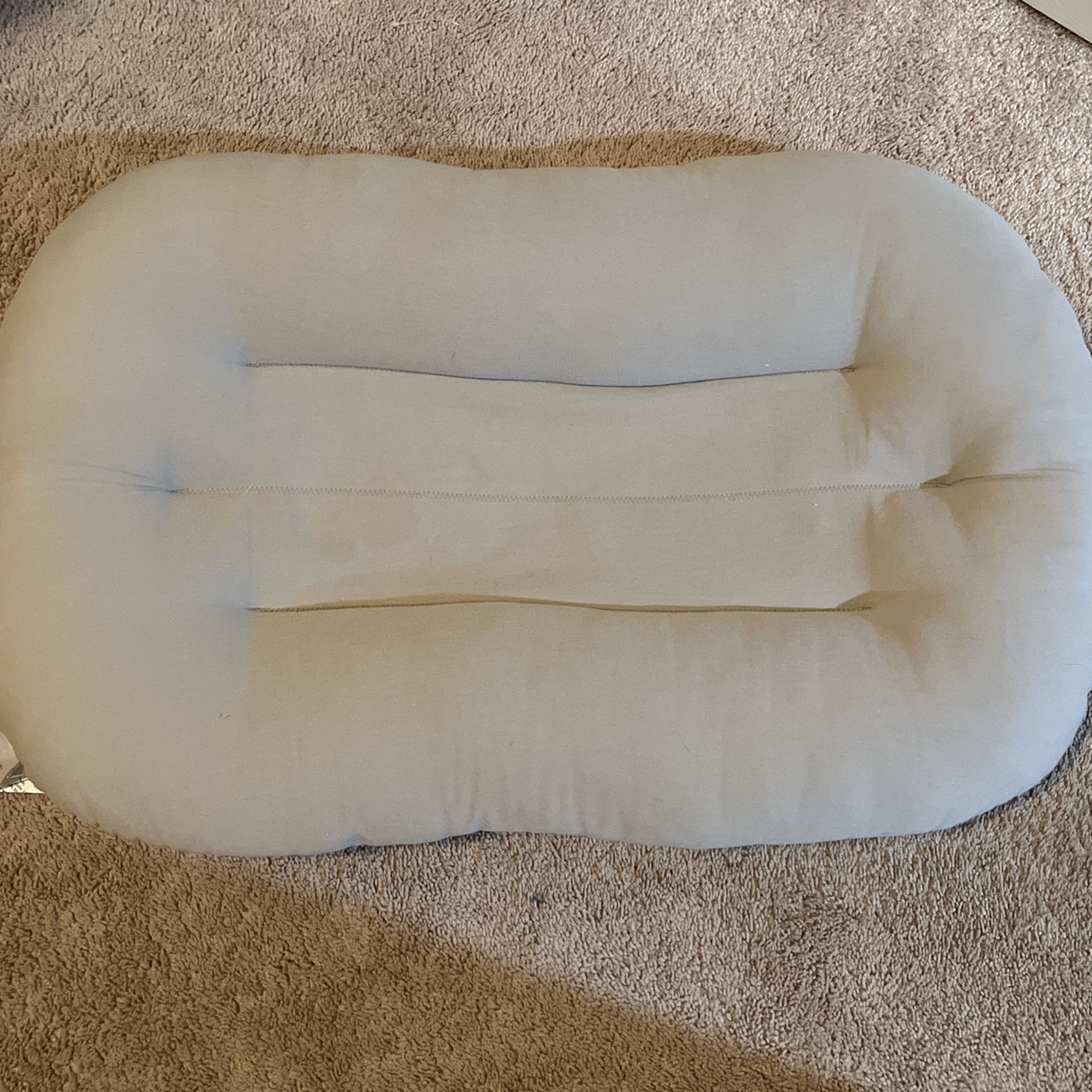 Snuggle Me Pillow And Cover