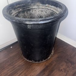 10 gallon plastic pot