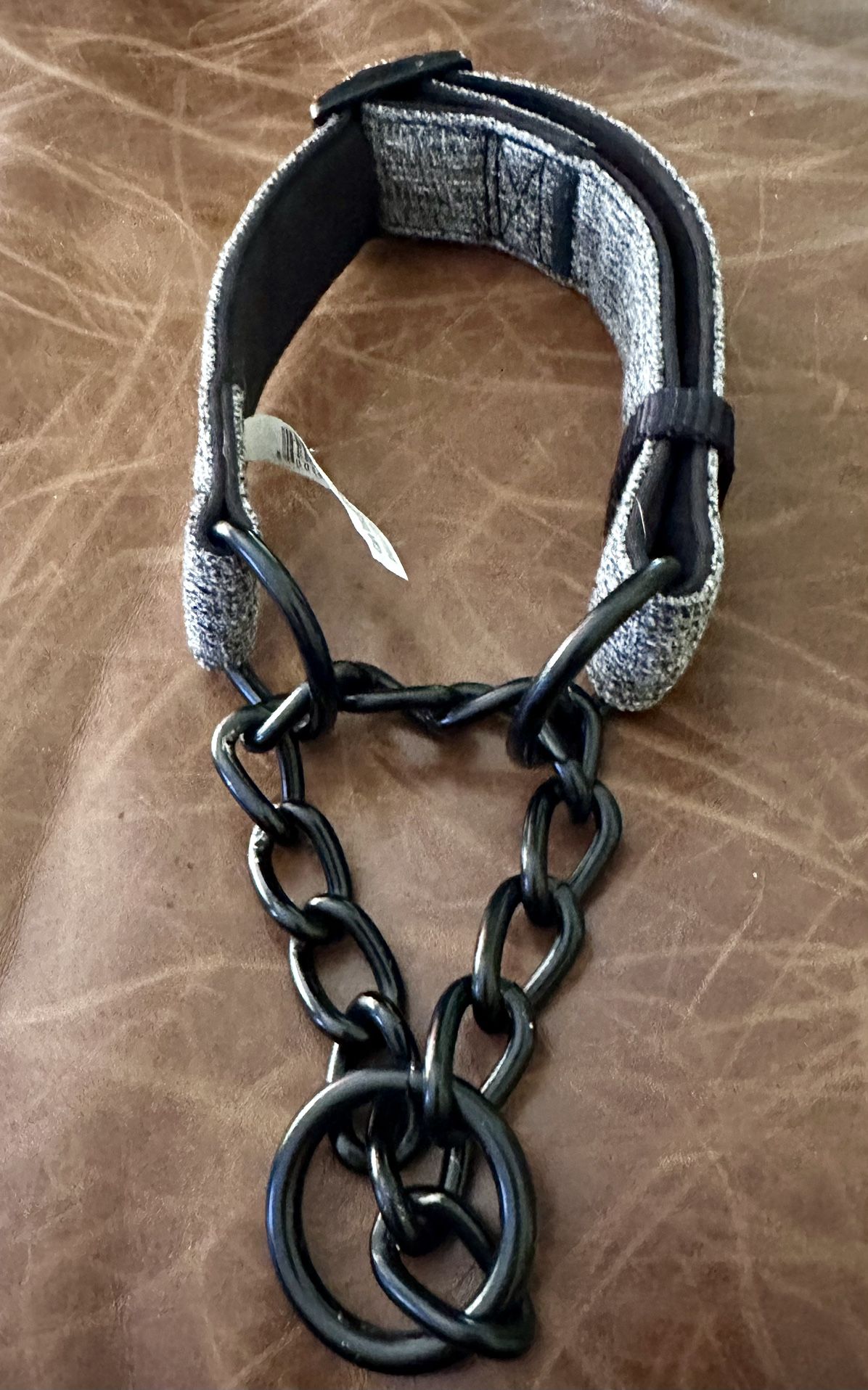 New Adjustable Martingale Fabric Collar