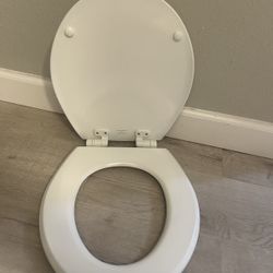 Toilet Seat
