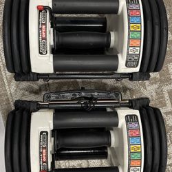 PowerBlock Weights And Curl Bar