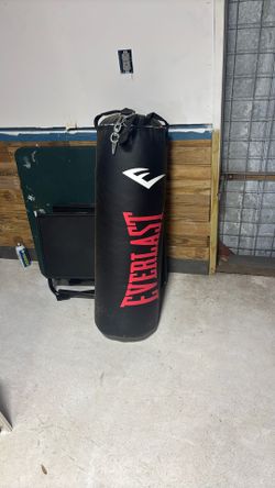 Used Everlast 75 Lb Punching Bag