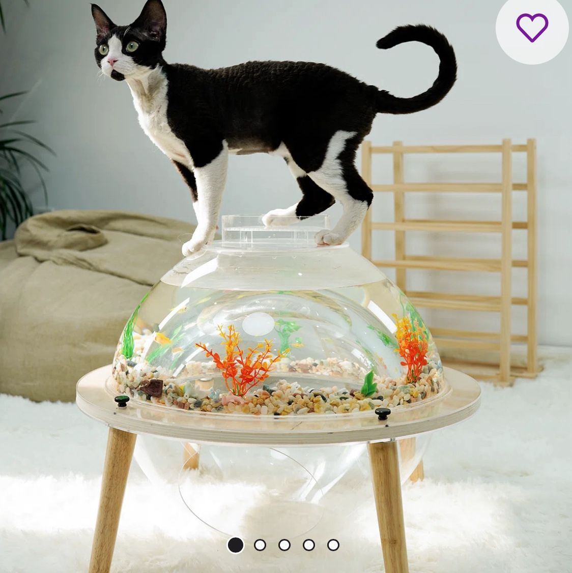 Fish Tank 