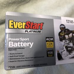 AGM Ever Start Battery