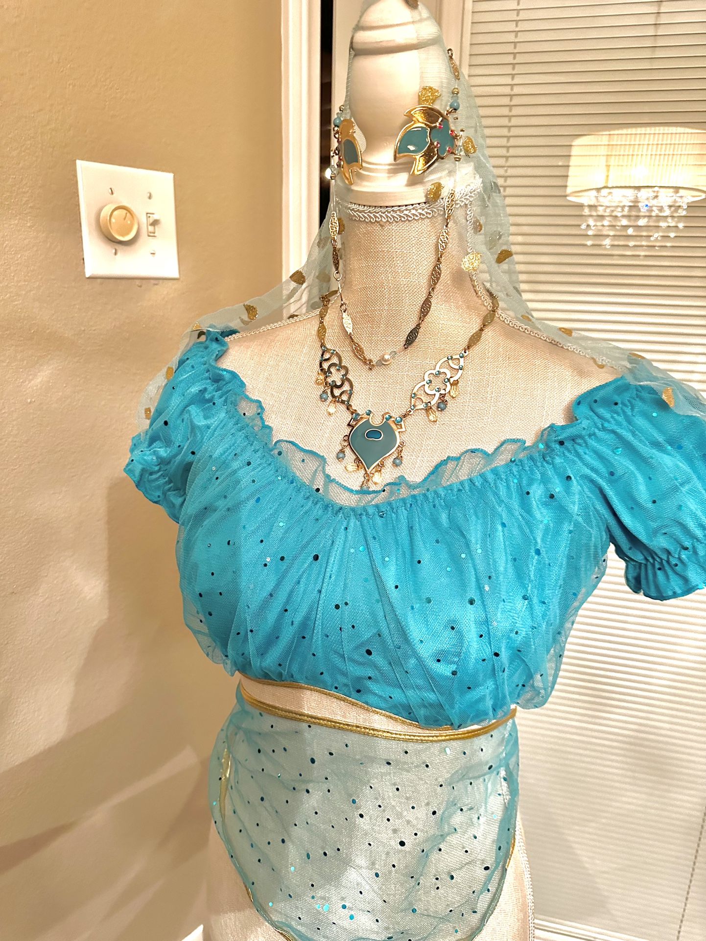 Disney JASMINE Aladdin Costume Adult XL With Jewelry Tiara for Sale in  Vista, CA - OfferUp