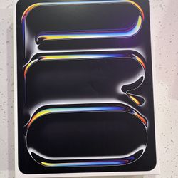 iPad Pro 256 GB WiFi Only 