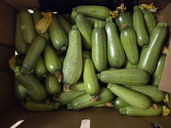 Local Farm Fresh Seasonal Produce