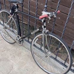 Pinarello Catena