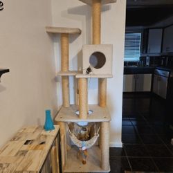 Cat 🐈 Condo & Cat 🐈 Scratcher