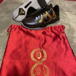 Kobe 5 Protro “Eggplant”