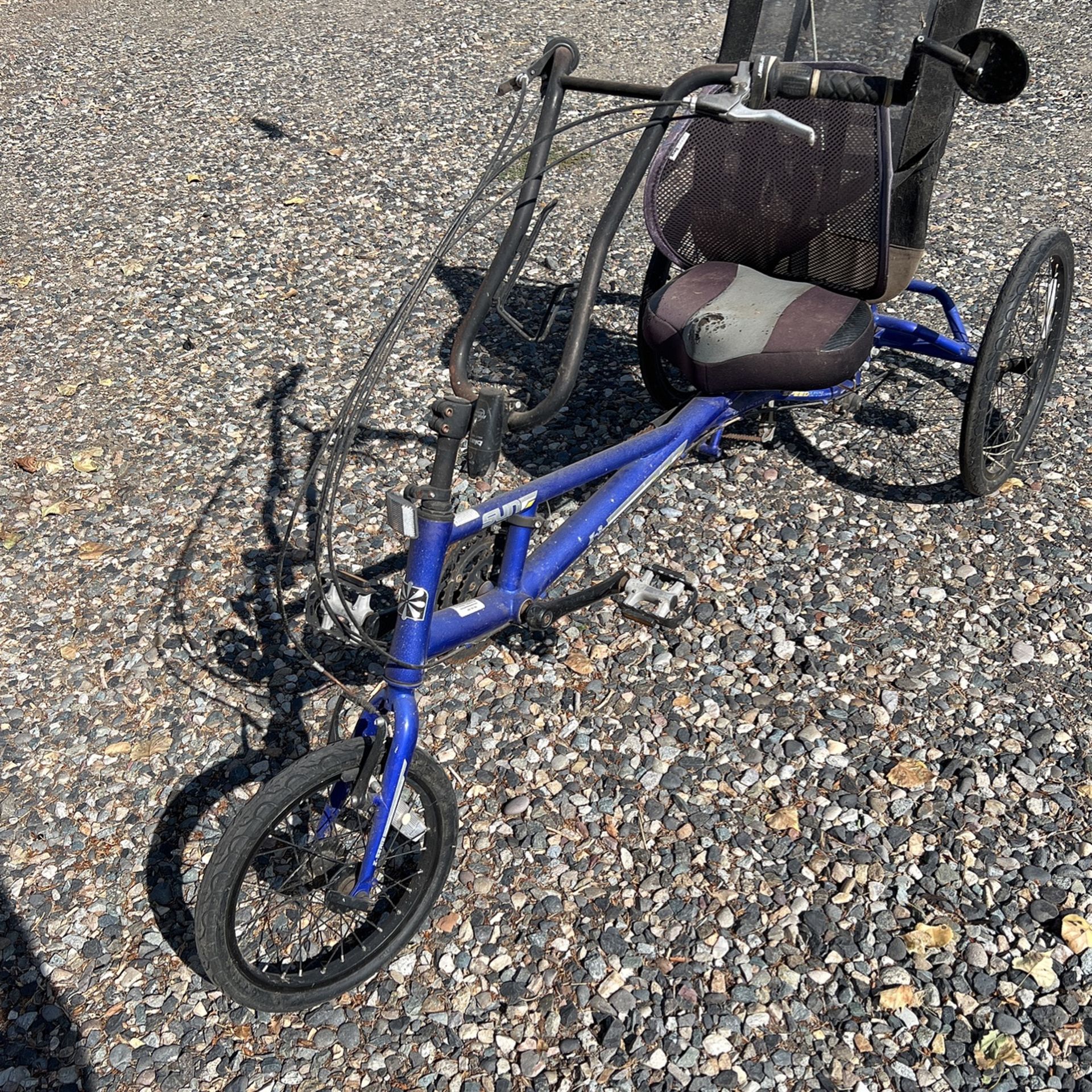 Sun Recumbent Bike