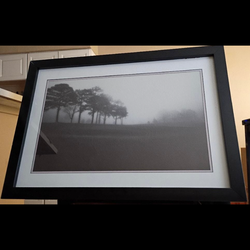 Dusk Spotlight image