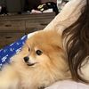Alexis