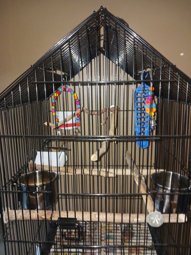 Bird Cage