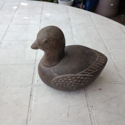 Duck