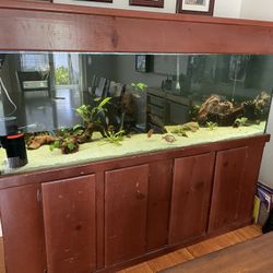 180 Gallon Aquarium With Stand And Accessories (fish Not Included)