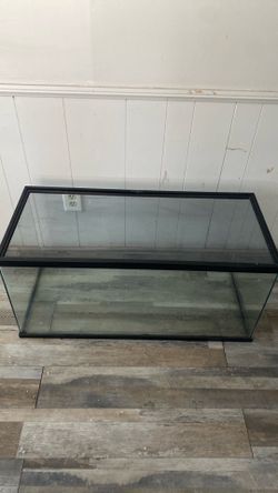 40 gallon tank