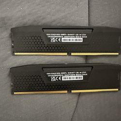 2x16 Vengeance Ram