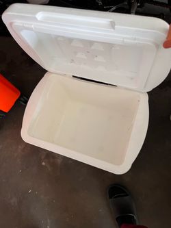 Cooler hielera