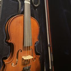 Viola 