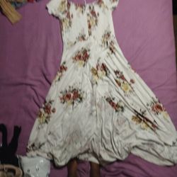 Women's Clothes Dresses