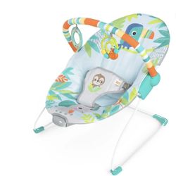 Baby Bouncer 