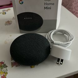 Google Mini Home