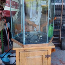 35 Gallon Hexagon Aquarium 