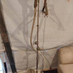 Singer Rolling Hanging Garment Steamer