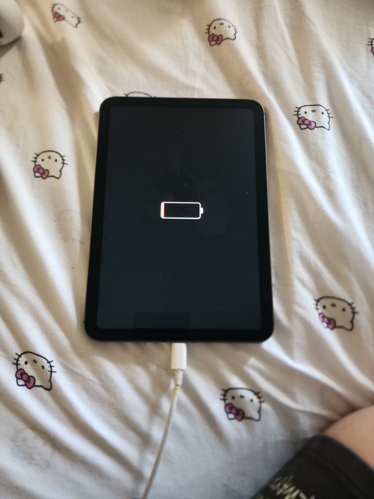 Apple Ipad Mini