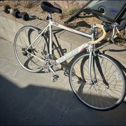 Vintage Specialized Allez Compact
