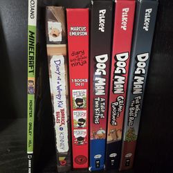 Various boys reading books (Dogman, Minecraft & Diary of a Wimpy Kid)