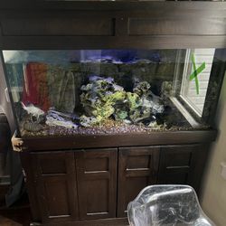 Aquarium