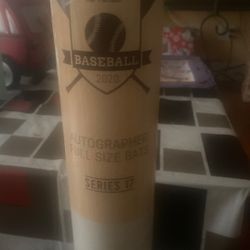 Signed Bat By Dave Adams Rawlings In Container