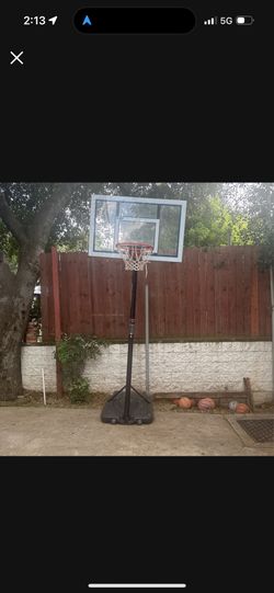 lifetime basketball hoop