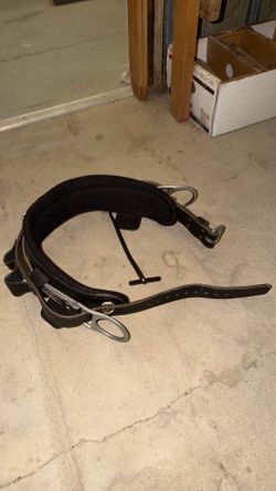 Buckingham Climbing Belt