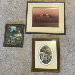 3 Pictures Plus Frames 