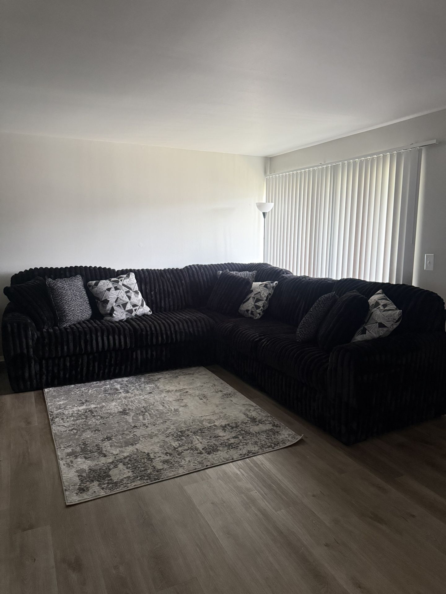 3pc Sectional Couch & RUG